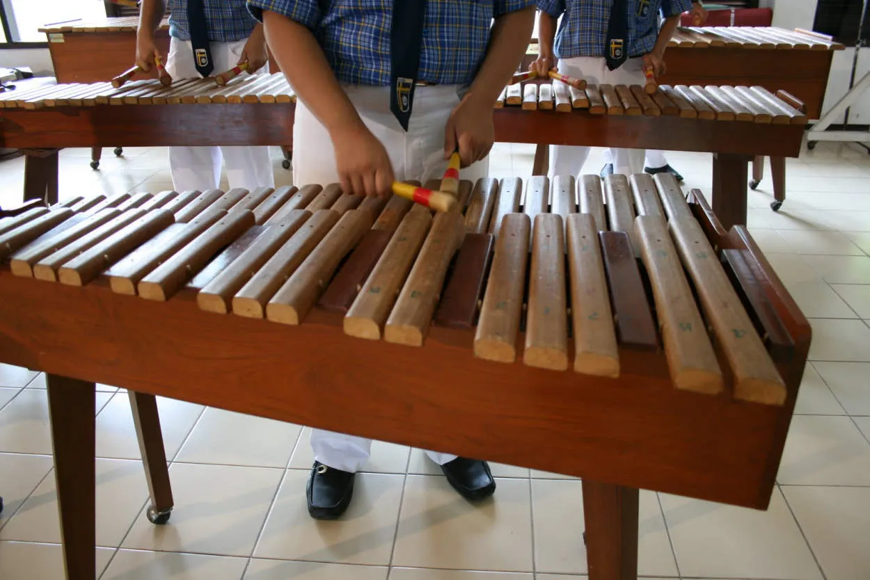 Memahami Tradisi Musik Bangladesh: Mendengarkan Alat Musik Tradisional