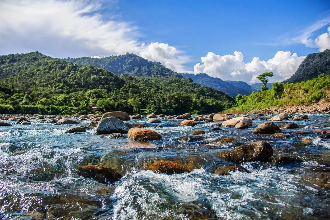 Mencoba Atraksi Unik di Bangladesh: Jelajah Taman Nasional Sylhet