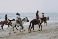 Pergi Berkuda di Pantai Inani: Petualangan Equestrian di Bangladesh