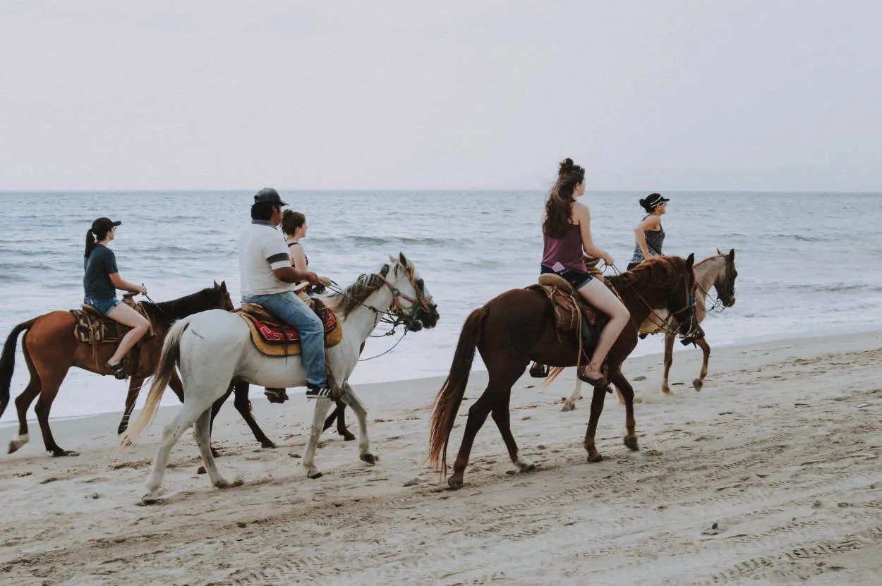 Pergi Berkuda di Pantai Inani: Petualangan Equestrian di Bangladesh