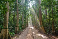 Wisata Ekologi di Bangladesh: Kunjungi Taman Nasional Lawachara